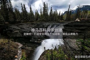 全明星第三阶段投票结果：筷子兄弟文班和切特分列西部前场八九